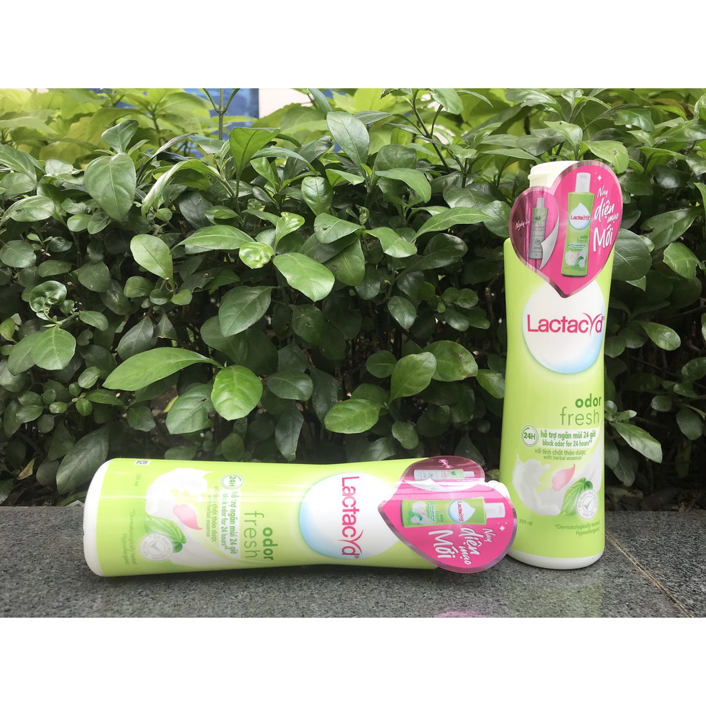 Dung Dịch Vệ Sinh Phụ Nữ Lactacyd 150ml/250ml Lá Trầu Không - Nước Hoa Hồng