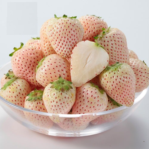 Hạt giống dâu tây trắng bạch tuyết - rau củ quả chịu nhiệt 4 mùa ngon giòn ngọt tỉ lệ nảy mầm cao 0,1gr
