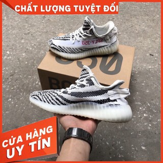 Giày Yz350 Ngựa Vằn