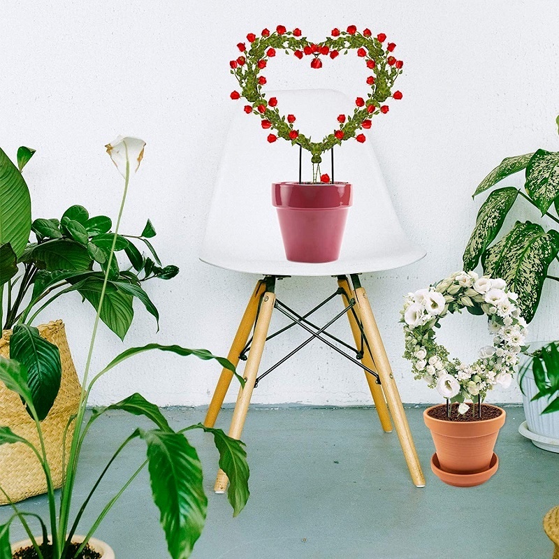 1 Khung Kim Loại Hình Trái Tim Dùng Cố Định Chậu Cây Cảnh Diy Giá Đỡ