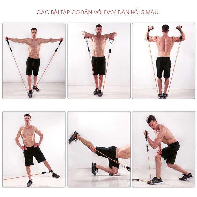 (𝑳𝑶𝑨̣𝑰 1- 𝑩𝑯 3 𝑵𝑨̆𝑴) DÂY NGŨ SẮC TẬP GYM CAO CẤP_CHẤT LIỆU CAO SU LATEX TỰ NHIÊN CO GIÃN RẤT TỐT