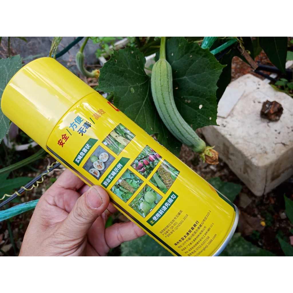 Thuốc diệt ruồi vàng, chai xịt diệt côn trùng