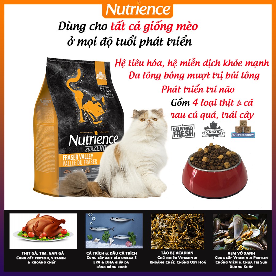 [Ăn Là Thích] Thức Ăn Hạt Cho Mèo Ba Tư Nutrience Subzero Da Lông Bóng Mượt Bao 500g  4 Loại Thịt Cá, Rau Củ, Trái Cây