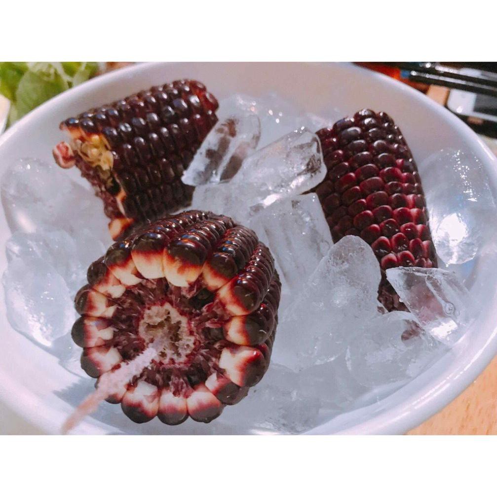 hạt giống bắp tím - GÓI 20 HẠT