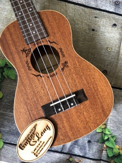 Đàn Ukulele Concert Full Gỗ Có Equalizer - CB25