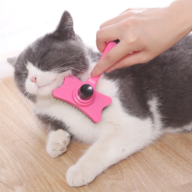 Lược chải lông cho chó mèo, pet
