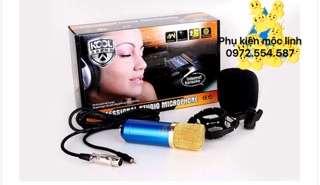 Combo Mic thu âm BM 800 và giá đỡ
