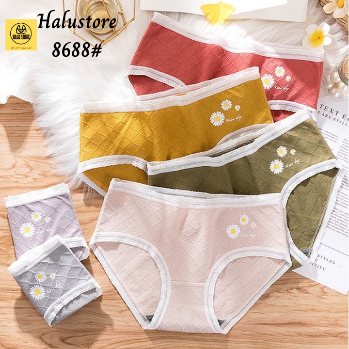 8688quần lót nữ cotton hoa cúc pha ren sexy mềm mịn không bai xù kháng khuẩn