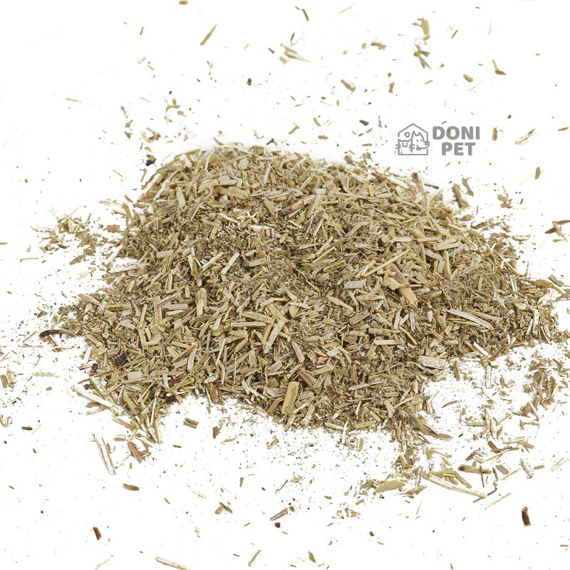 Catnip cỏ bạc hà cho mèo giúp thư giãn làm sạch răng thơm miệng - Gói 2g