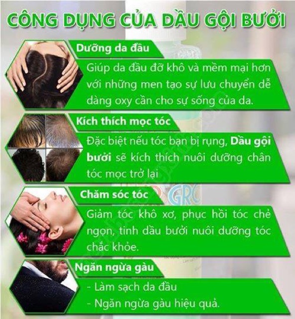 Combo Tinh dầu bưởi,dầu gội,dầu xả dừa Ngân Bình | BigBuy360 - bigbuy360.vn