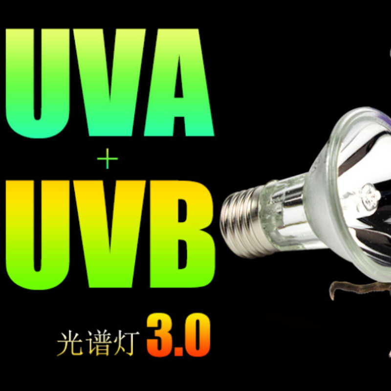 Đèn sưởi lớn UVA+UVB 3.0 cho rùa và bò sát chính hãng