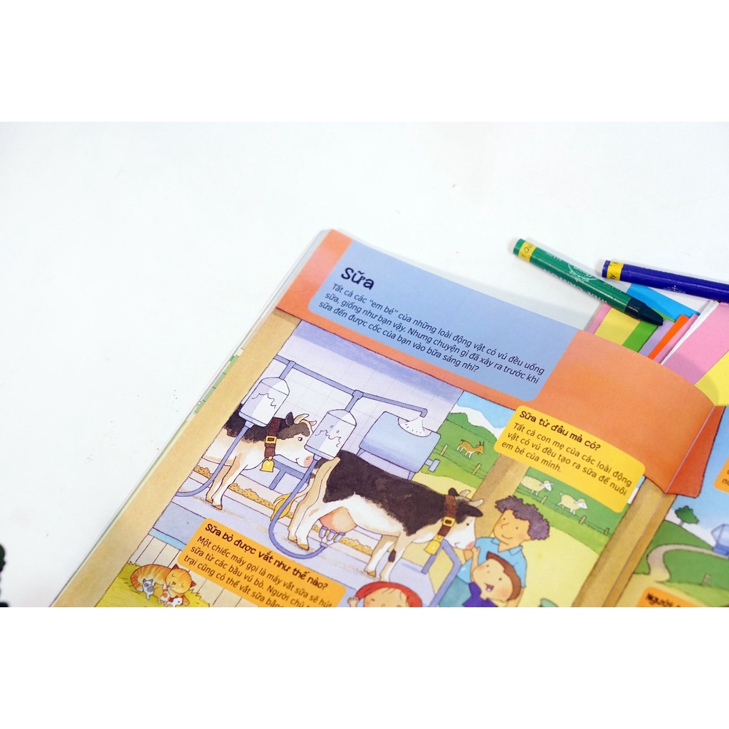 SÁCH - Hỏi - Đáp về Những hành động nhỏ để bảo vệ Trái Đất