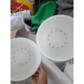 Combo 20 cái chậu ươm size 20 cm * 15 cm