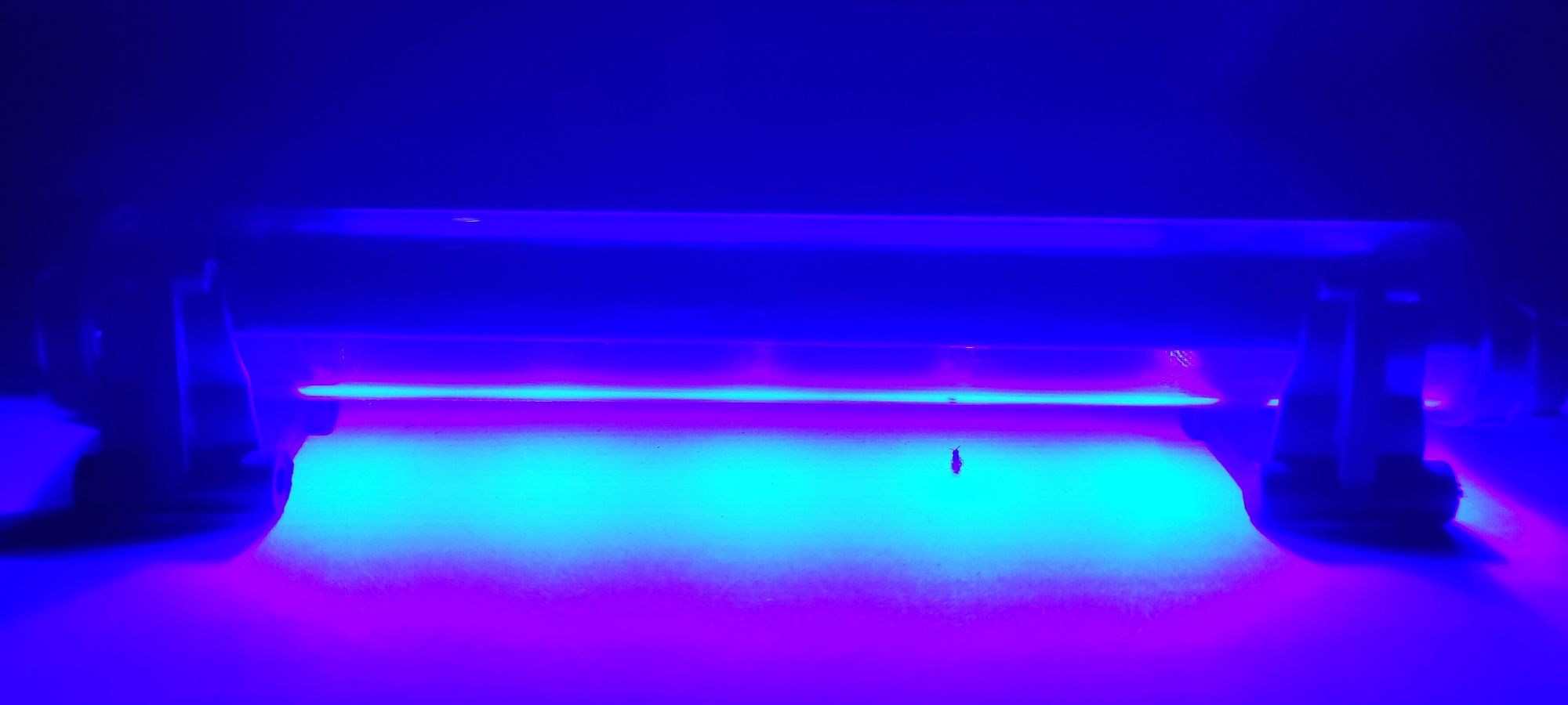 Đèn Led Màu Xanh Dương Dài 20cm Trang Trí Bể Cá