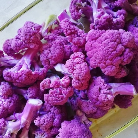 Hạt Giống Bông Cải Tím, Súp Lơ Tím (228) 1gr