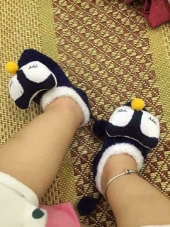 Combo 6 đôi Tất hài lông cừu cho bé