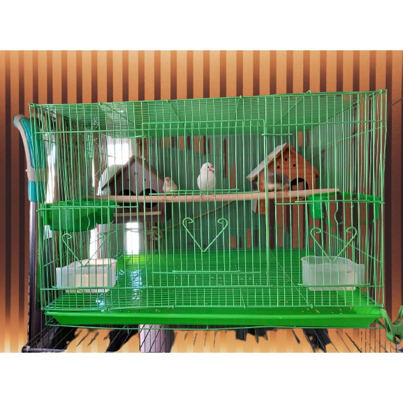 Lồng chứa chim nuôi chim nhỏ 60x42 x40 cm