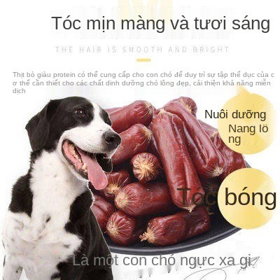 Pet Snack Dog Snacks Xúc xích Purse Xúc xích Gà Thịt bò Ham Xúc xích Gold Mao Teddy Snacks