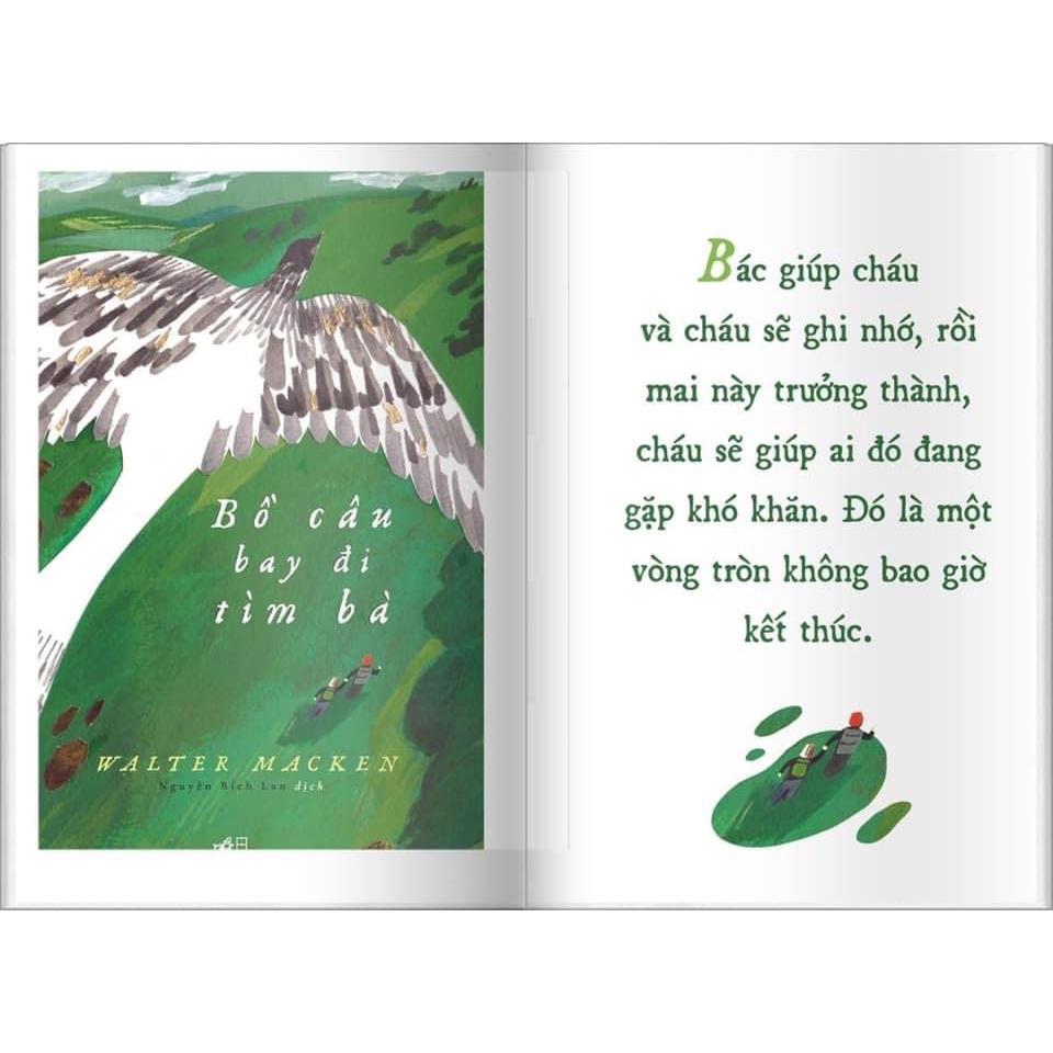 Sách - Bồ câu bay đi tìm bà