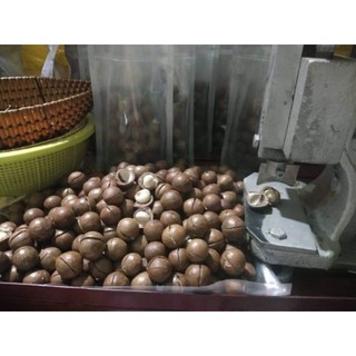 [Hàng cao cấp]# Hạt Măc ca sấy nứt Đăk Lăk Loai 1kg