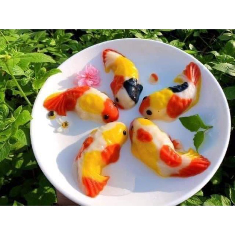 Khuôn làm thạch/bánh trôi/ xôi hình cá chép 3D loại nhựa và silicon