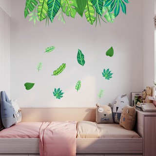 Decan Dán Tường An Phú Decor Rừng Nhiệt Đới
