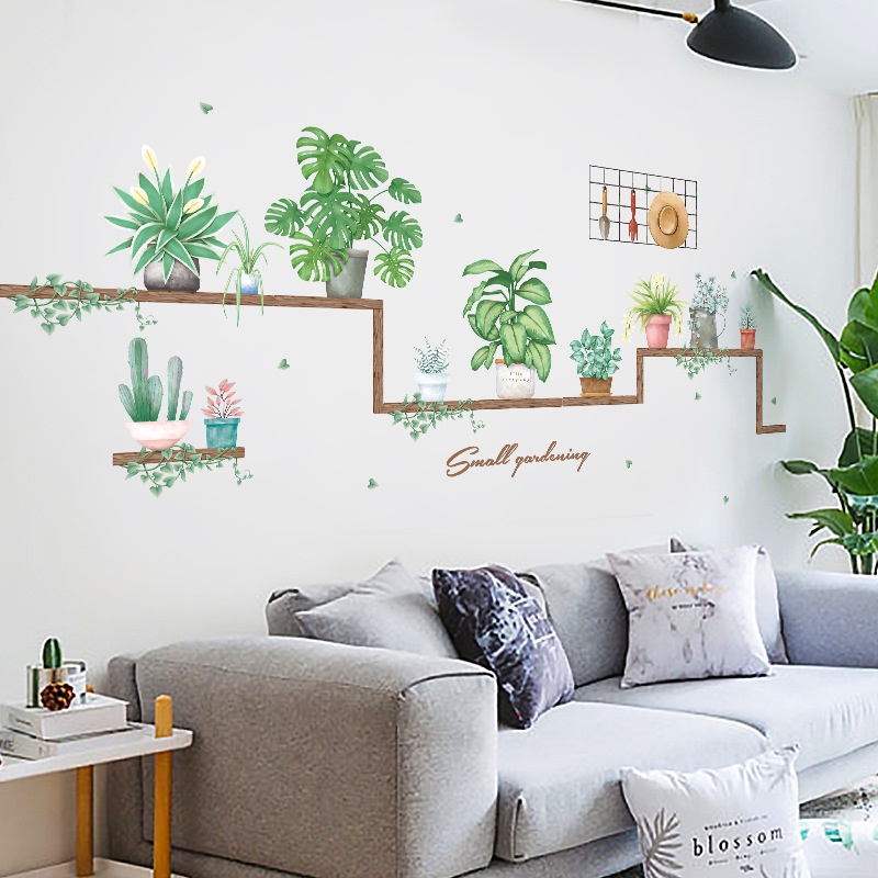 Decal dán những chậu cây cảnh