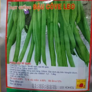 Đậu Côve Leo
