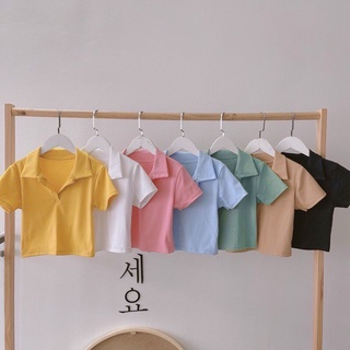 (Video thật) Áo Croptop Cổ Trụ Bẻ Trơn
