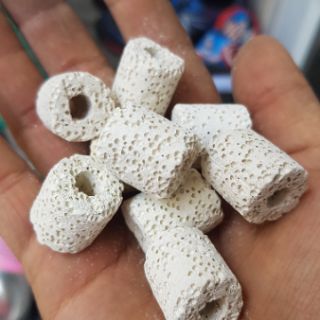 Sứ nhẫn trắng 0,5kg