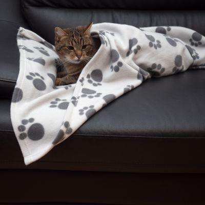 Pawty Chăn lông cừu cao cấp cho chó mèo/thú cưng