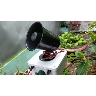 Chống trộm cây cảnh