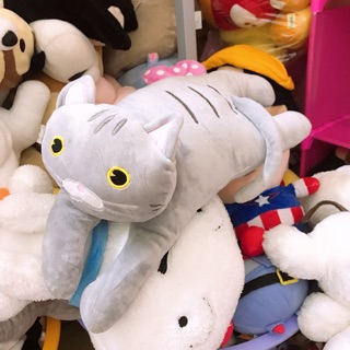Set miniso miniso