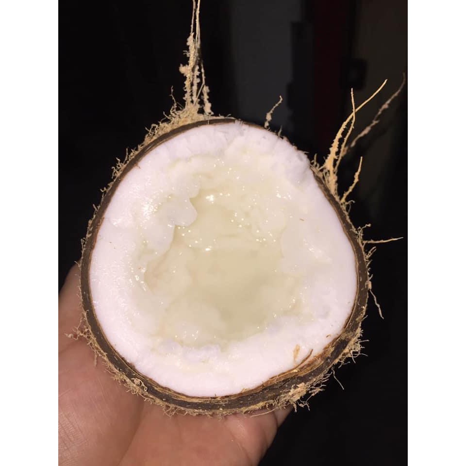 Dừa sáp trà vinh loại 1 quả 1kg