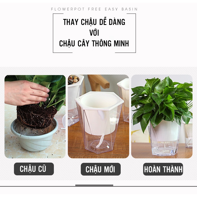 Chậu nhựa trồng cây thông minh tự tưới/thủy sinh/cây để bàn văn phòng/chậu đa giác trong suốt rộng 13 cao 14cm