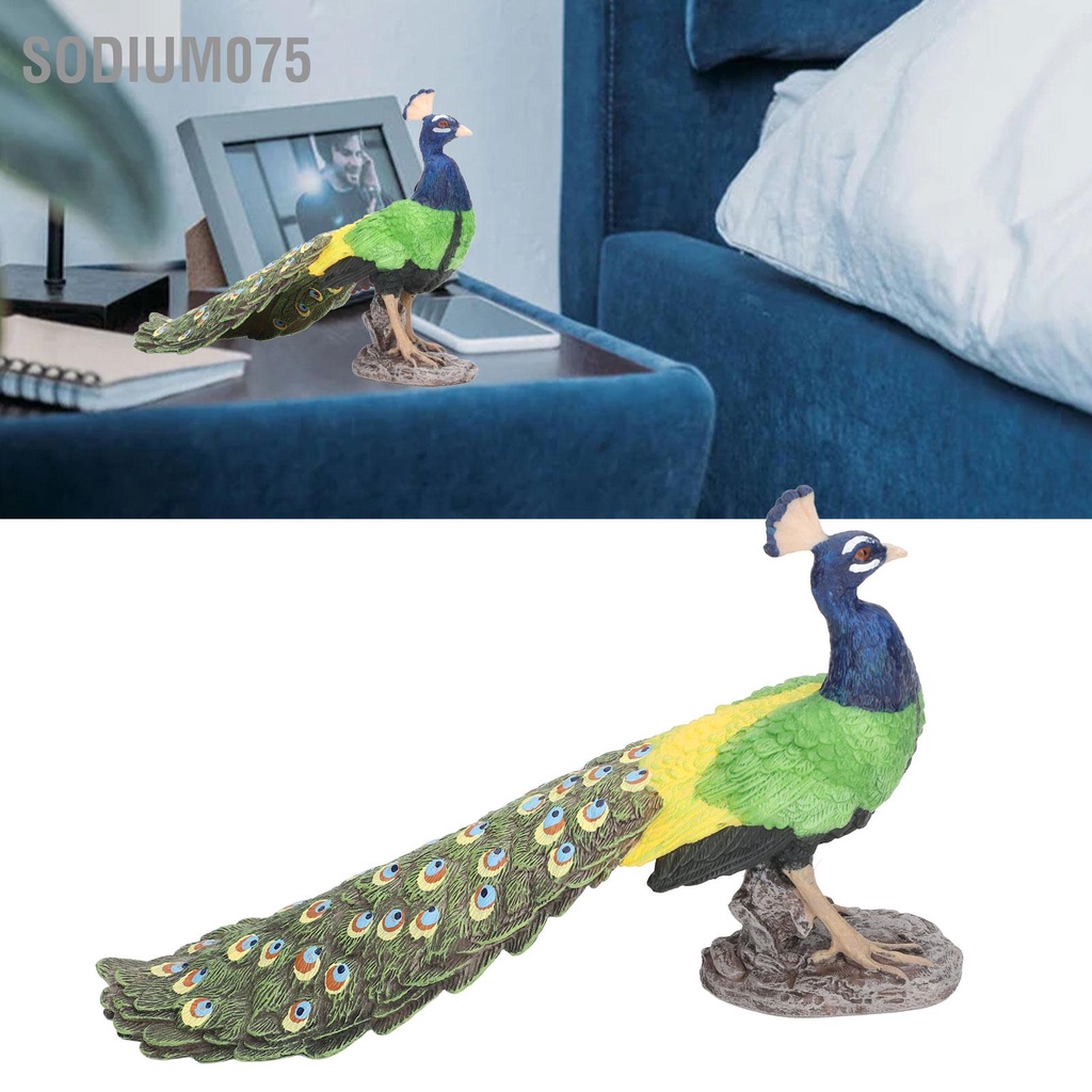 Có thể bán buôn Con công đẹp Trang trí nhà sống động Mô hình vật Tượng con nhân tạo để làm quà tặng Sodium075 Hàng giao ngay