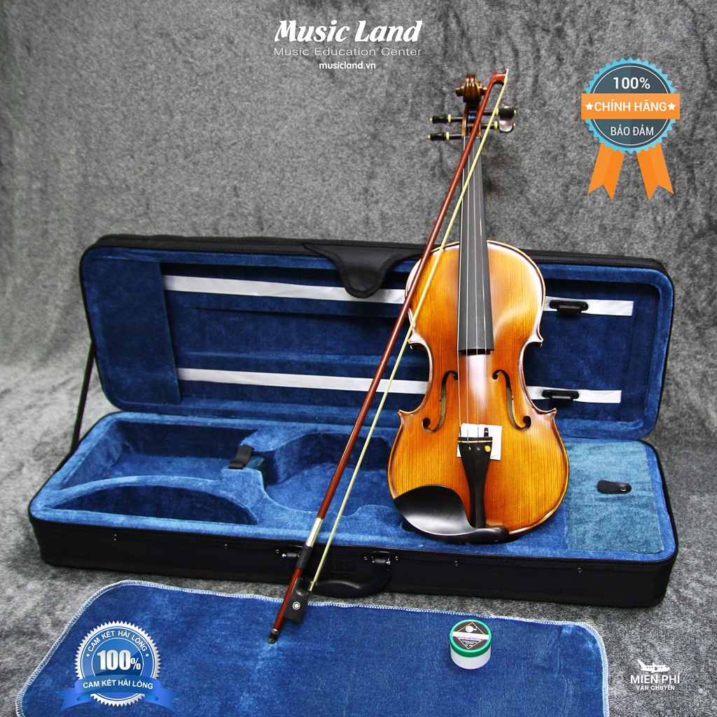 Đàn Violin Amati VM118 – Chính Hãng