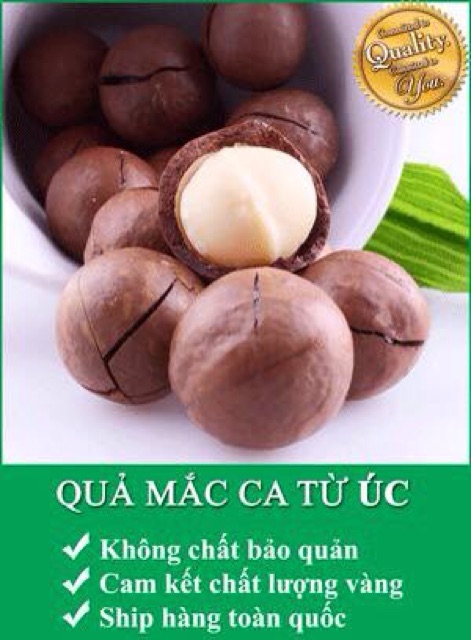 [FREESHIP 99K] Combo 500g Macca Úc & 500g Óc chó Mỹ