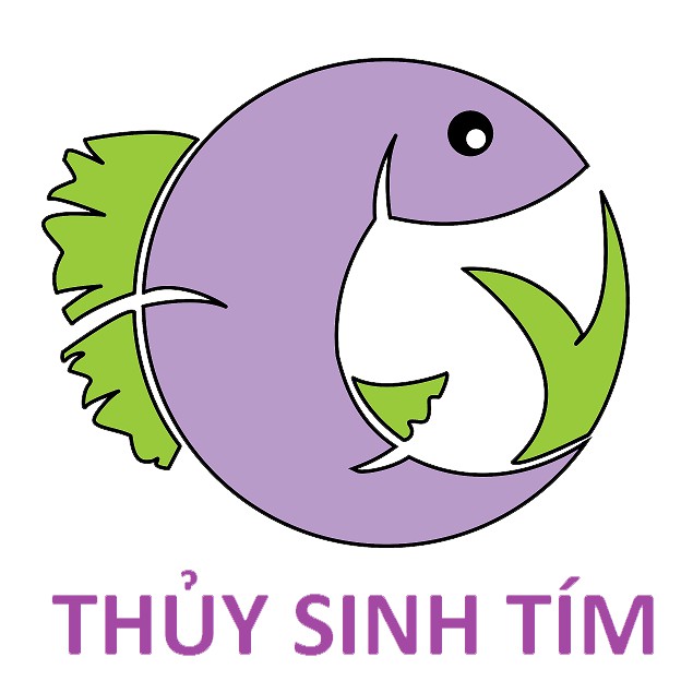 Cây Cắt Cắm Kim Tiền Thảo - CÂY THỦY SINH LÁ CẠN