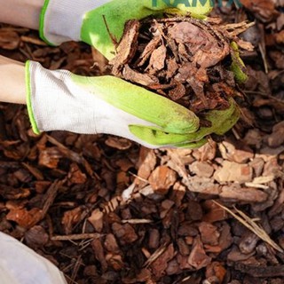 Lớp phủ hữu cơ (Organic Mulch) 5dm3