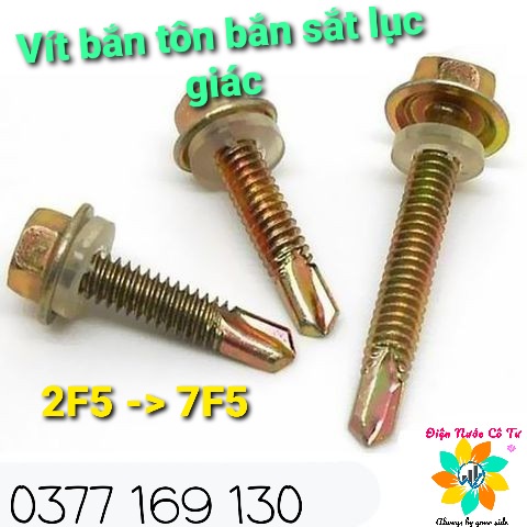 Vít Bắn Tôn Bắn Sắt Đầu Lục Giác 100gram 9k (vít loại 1 đầu vít có chữ D)