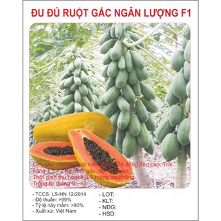 Gói 5 hạt- Hạt giống đu đủ lùn quả dài siêu quả năng suất