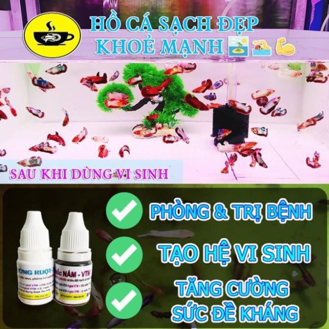 Lọc Vi Sinh BIO mini - ĐẾ SỎI - Không cần thay nước