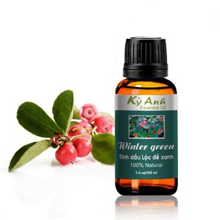 TINH DẦU LỘC ĐỀ XANH WINTER GREEN - Tinh dầu cho sức khỏe và làm đẹp nhập khẩu từ Ấn Độ.