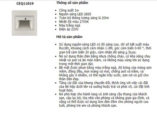 Đèn âm bậc cầu thang cảm biến CDN