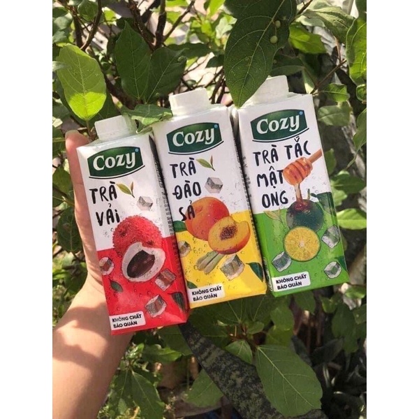 Trà tắc cozy giải nhiệt mùa hè