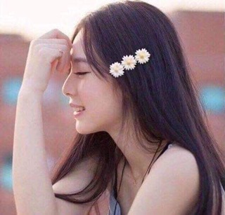 Sét kẹp tóc cúc hoạ mi