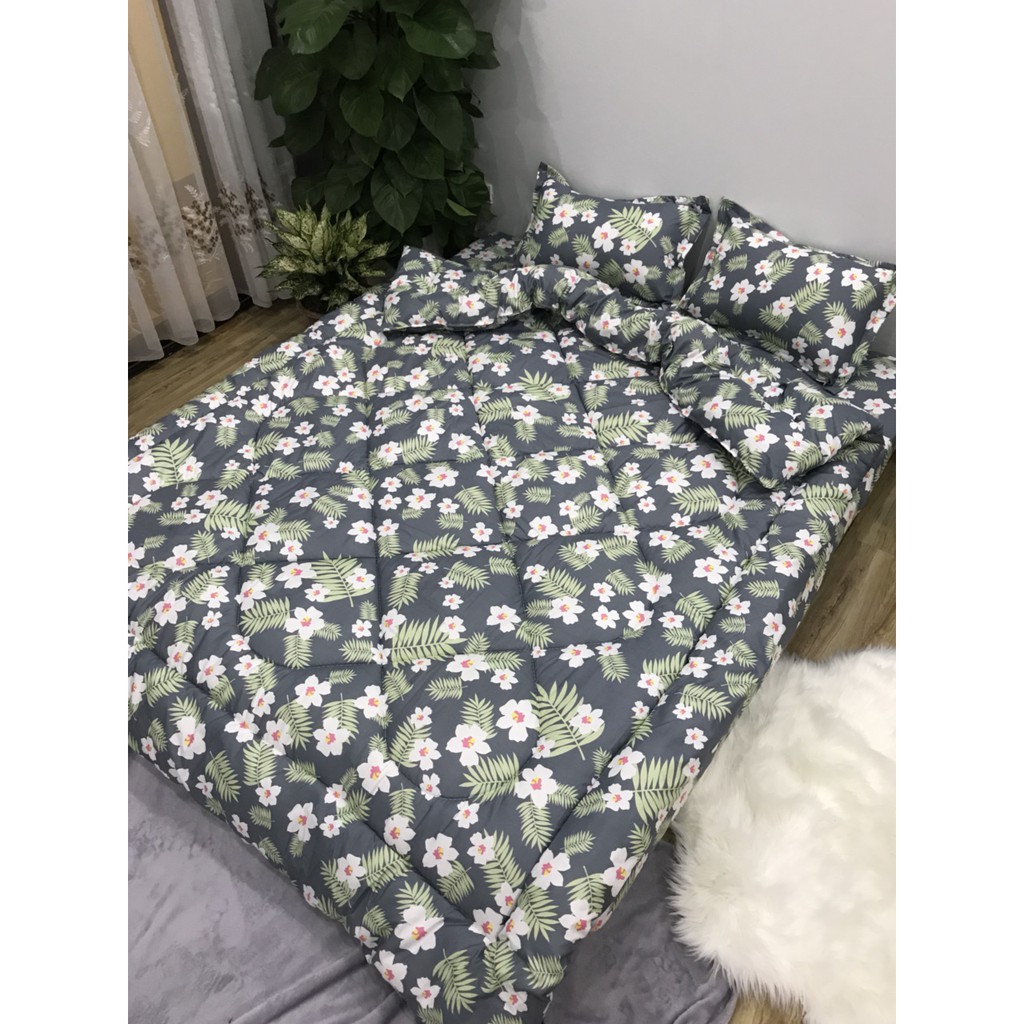 BỘ GA GỐI COTTON POLY 2M*2M2 GG112