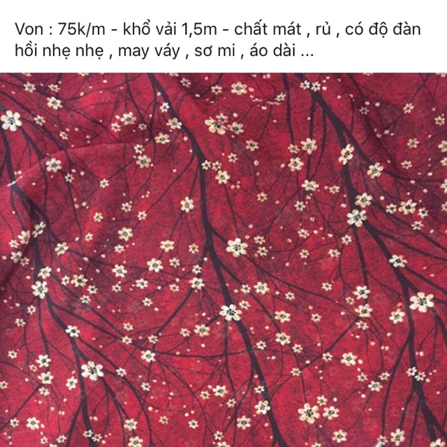 Set chị Nguyễn Thu