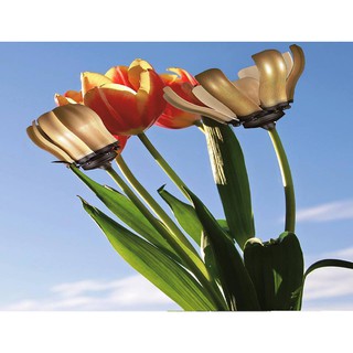 Quạt trần ROYAL FIORE ROMANCE